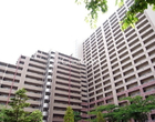 ライオンズシティ東陽町親水公園